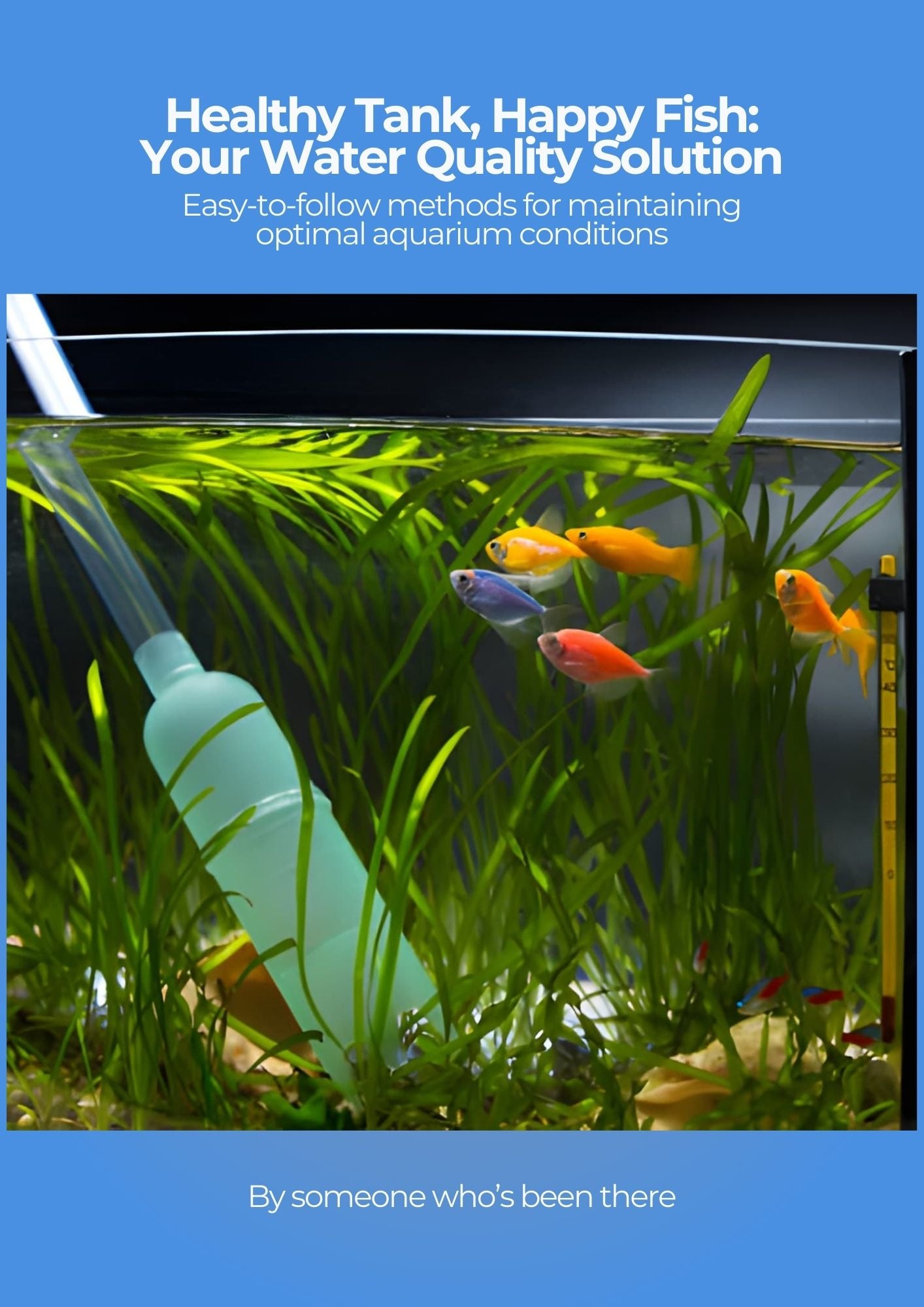 Aquarium with fish and water quality tools, promoting optimal aquarium conditions.